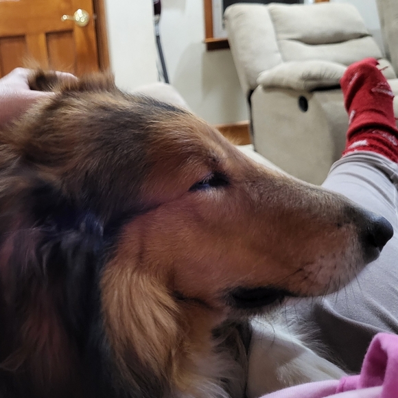 Meet the Posher Other - PLSreadBEFOREbuying!